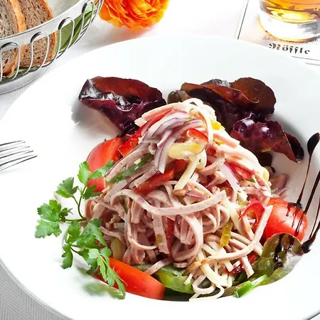 酒店 Hotel-gasthof Roessle