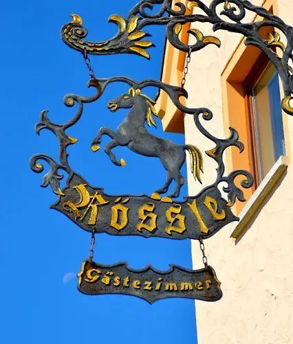 Hotel-gasthof Roessle 2* Ulm
